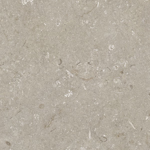 Shellstone Syria Shellstone – italy